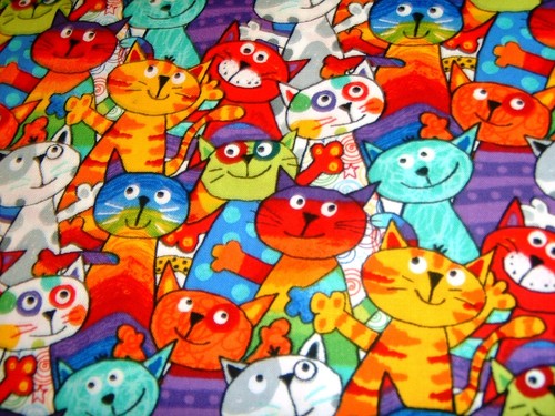 Katzen cats bunt allove r - cats,