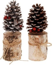 Tannenzapfen auf Holzstamm mit