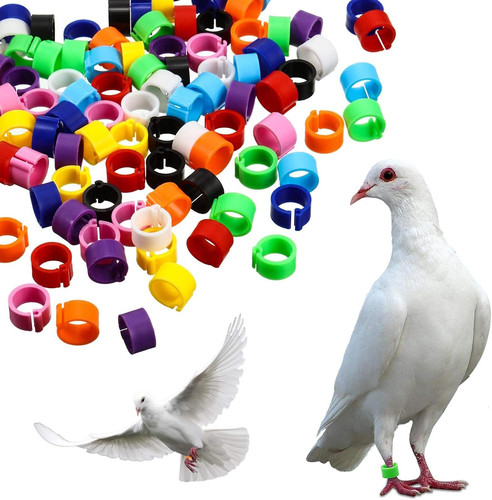 Vogelringe taubenringe - vogelringe,