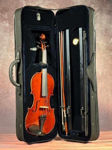 Reghino geige violine - geige,