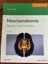 Neuroanatomie: Struktur und