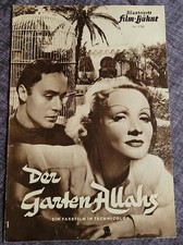 IFB-Filmprogramm: MARLENE