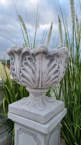 Pflanzgefäß vase amphore - pflanzgefäß,, vase,