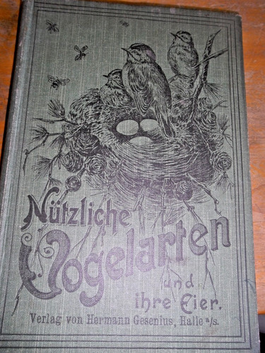 Nützliche vogelarten und ihre - nützliche,