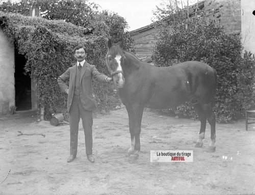 Antike glasfoto platte 9x12 - antike, glasfoto-platte