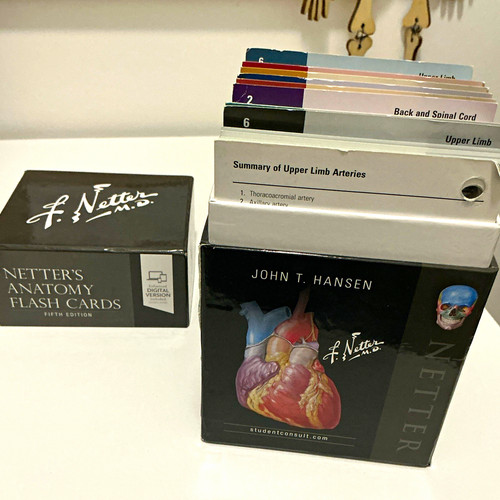 Elsevier netter anatomy - elsevier,