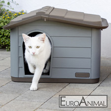 Katzenhaus Paola Eco
