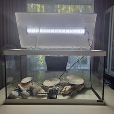 60×30×30, 60 Liter Aquarium mit Belichtung, Kescher, Dekosteinen, Aquariumholz