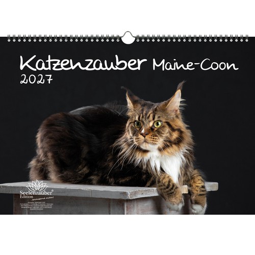Katzenzauber maine coon din - katzenzauber, a3