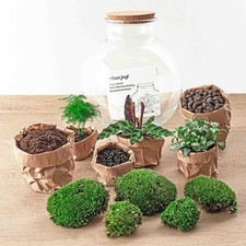 Flaschengarten Bolder Bob DIY