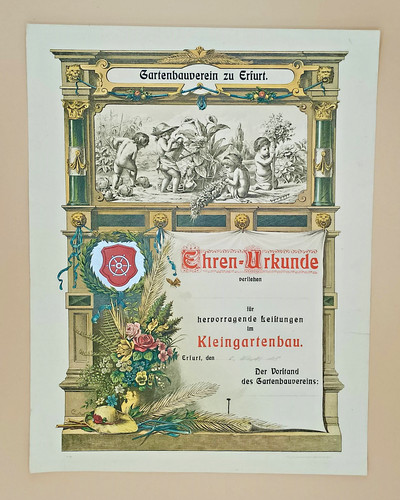 Wunderschöne ehren urkunde - wunderschöne,