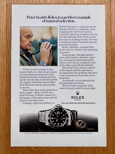 Rolex submariner 1680 red - rolex,