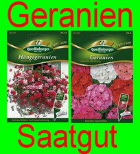 Saatgut Sortiment GERANIEN