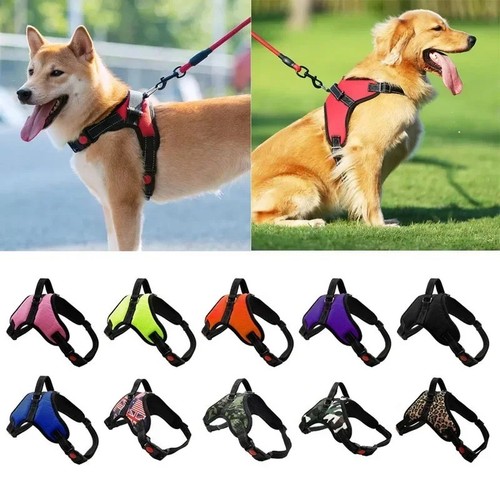 Hundegeschirr hunde - hundegeschirr,