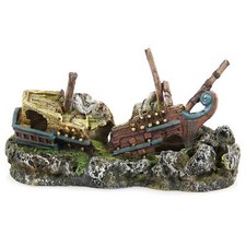 Amazonas Galeone Aquariendeko