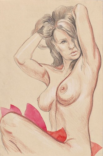 Akt nude naked - , woman