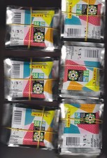 Panini   Frauen WM 2023   500