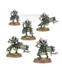 Necrons Immortals / Deathmarks