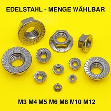 Sperrzahnmutter edelstahl - sperrzahnmutter, a2
