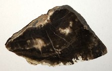 Holz Chemnitz / Sachsen