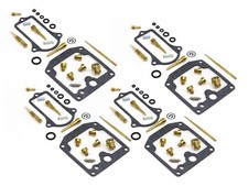 Vergaser Reparatur Satz 4