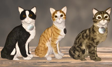 Leonardo Collection –