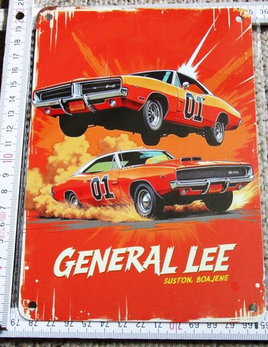 General lee blechschild 14x20 - general,
