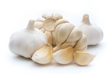 Ungarische pflanzknoblauch zum - ungarische,