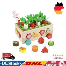 Kinder Holzspielzeug Montessori ab 1-4 Jahr, Vielzweck Lernspielzeug mit Radeln