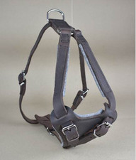 JHS Ledergeschirr gepolstert I