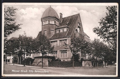 Dresden weisser hirsch - ak,