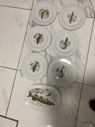 Fischteller set mit - fischteller,