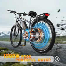 1000w E-bike Mountainbike