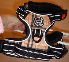 Hundegeschirr Gr. L, LovPet, nur 1 x ausprobiert, passte leider nicht