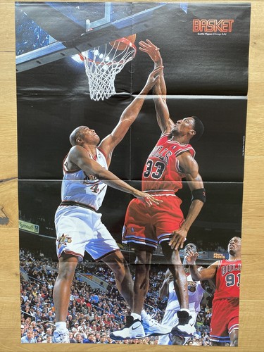 Scottie pippen bulls poster - scottie,
