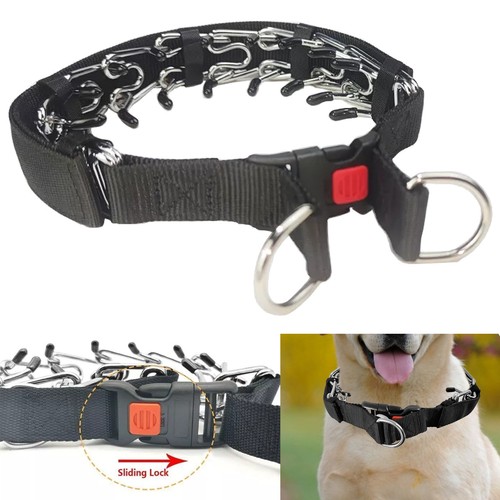 Hundehalsband mit stahl - hundehalsband,