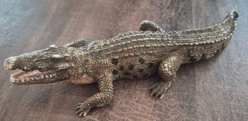 Mojo krokodil alligator - alligator, von