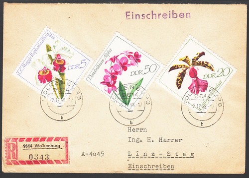 Ddr orchideen attraktiv - ddr:,