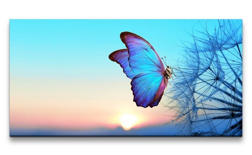 120x60cm leinwandbild - 120x60cm,