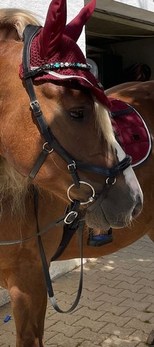 Horseware rambo micklem deluxe - horseware,