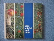 Was wächst und blüht - Heimische Pilze Kräuter Blumen