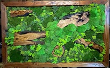 Moosbild mit Olivenholz