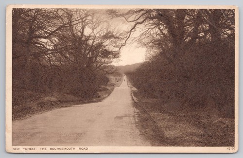 New forest the - forest,