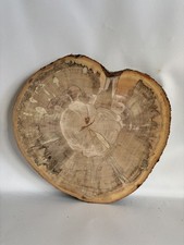 Baumscheibe, Holzscheibe