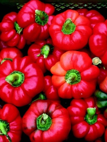 Mustafa paprika aus türkei - mustafa,