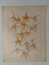 J.HABERT-DYS CHROMOLITHOGRAPHY