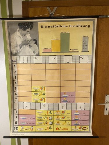 Schulwandkarte die natürliche - schulwandkarte,