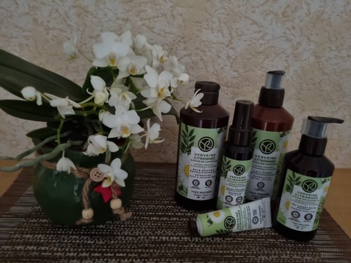 Schnäppchen yves rocher - ,