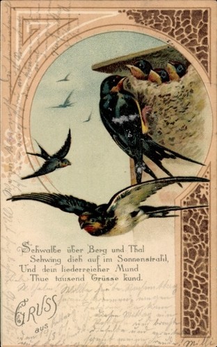 Litho schwalben nest - schwalben,,