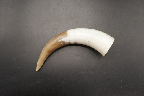 Trinkhorn met rind - trinkhorn,